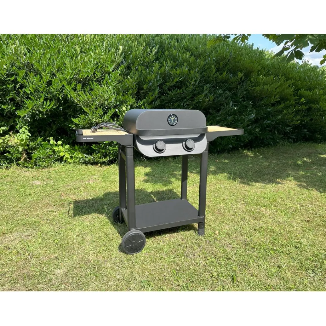 Garden Max Barbecue électrique FLAVO 50 SC Sale