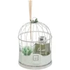 3S. x Home Cage Et Diff Et Bougie Lola, Vert Pâle Best