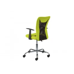3S. x Home Chaise de Bureau Ergonomique Vert HYKO Online