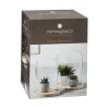 3S. x Home Cloche Verre Socle Bois transparent Outlet