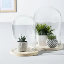 3S. x Home Cloche Verre Socle Bois transparent Outlet