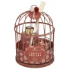 3S. x Home Coffret Cage Lola Wonderlyvoir Fleur d'Oranger Hot