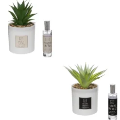 3S. x Home Coffret Senteur Cactus Outlet