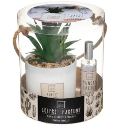 3S. x Home Coffret Senteur Cactus Outlet