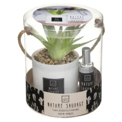 3S. x Home Coffret Senteur Cactus Outlet
