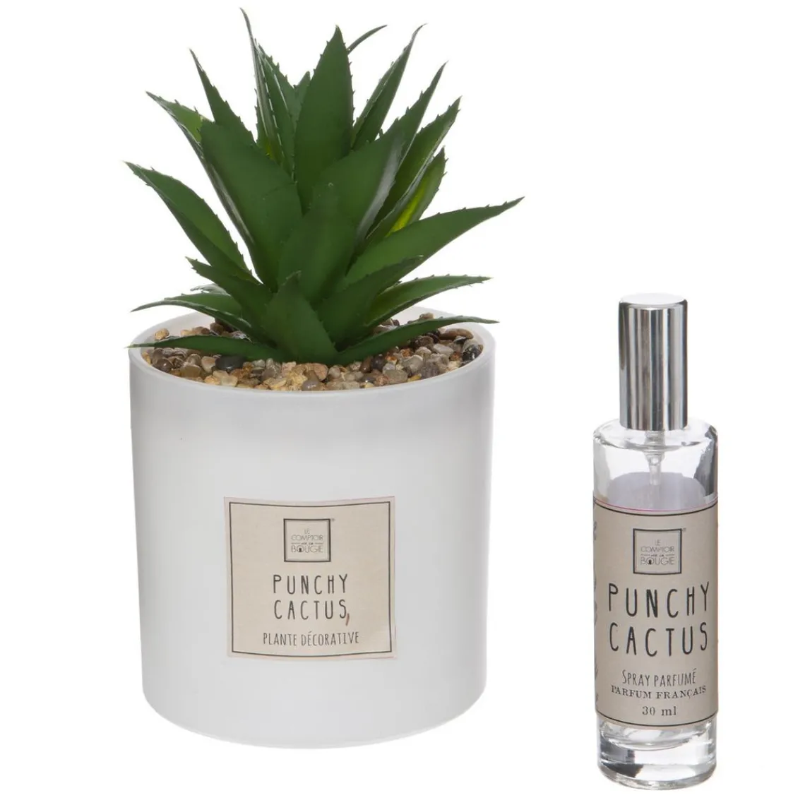 3S. x Home Coffret Senteur Cactusvoir Clearance
