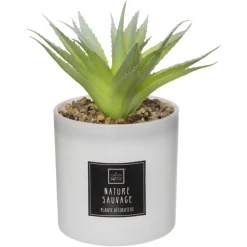 3S. x Home Coffret Senteur Cactusvoir Clearance