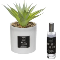 3S. x Home Coffret Senteur Cactusvoir Clearance
