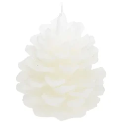 3S. x Home Coffret Senteur Wildvoir Orange Cannelle Clearance