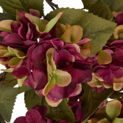 3S. x Home Composition florale Fria Hot