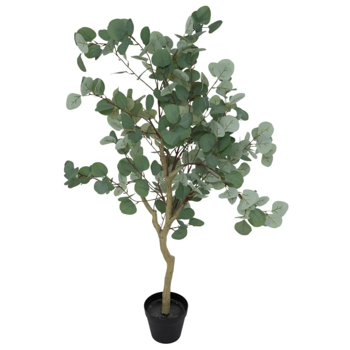 3S. x Home Eucalyptus artificiel Cony Pot noir Outlet