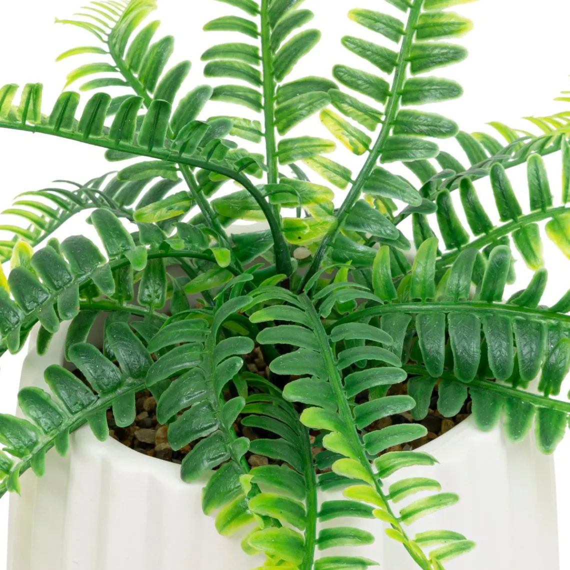 3S. x Home Fougère en Pot Céramique Blanc Paro Best