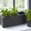 Becquet Jardinière herbes aromatiques en résine tressée Online