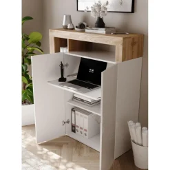 3S. x Home Meuble de rangementavec étagère-bureau 2 portes 2 étagères niches
