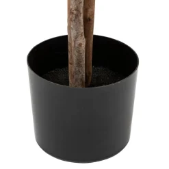 3S. x Home Olivier artificiel Outlet