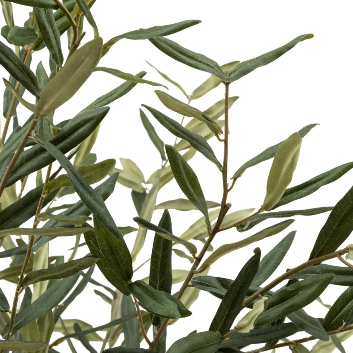 3S. x Home Olivier artificiel Outlet