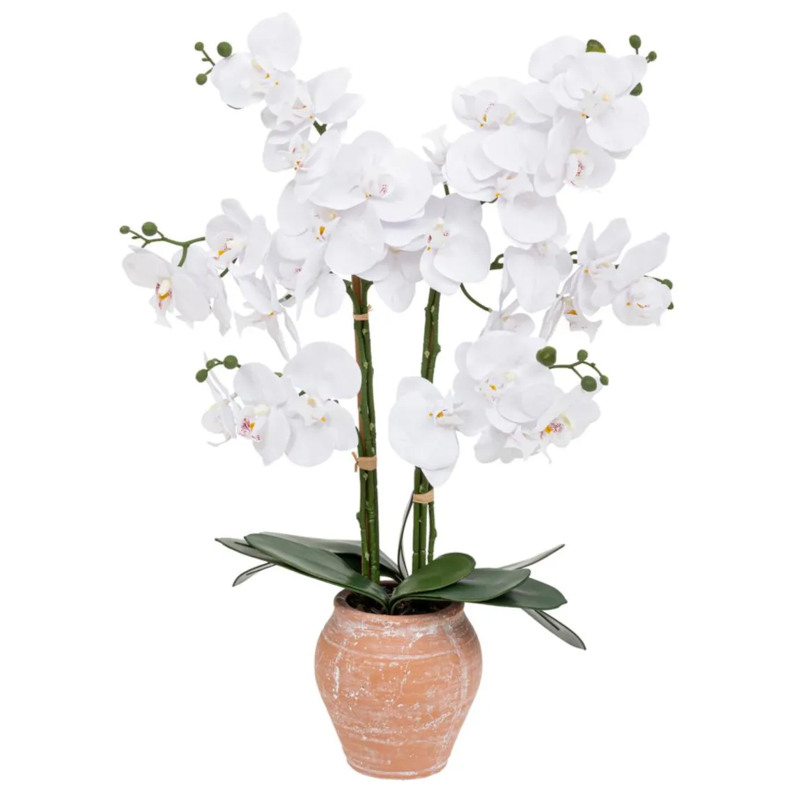 3S. x Home Orchidée artificielle avec pot en céramique Discount