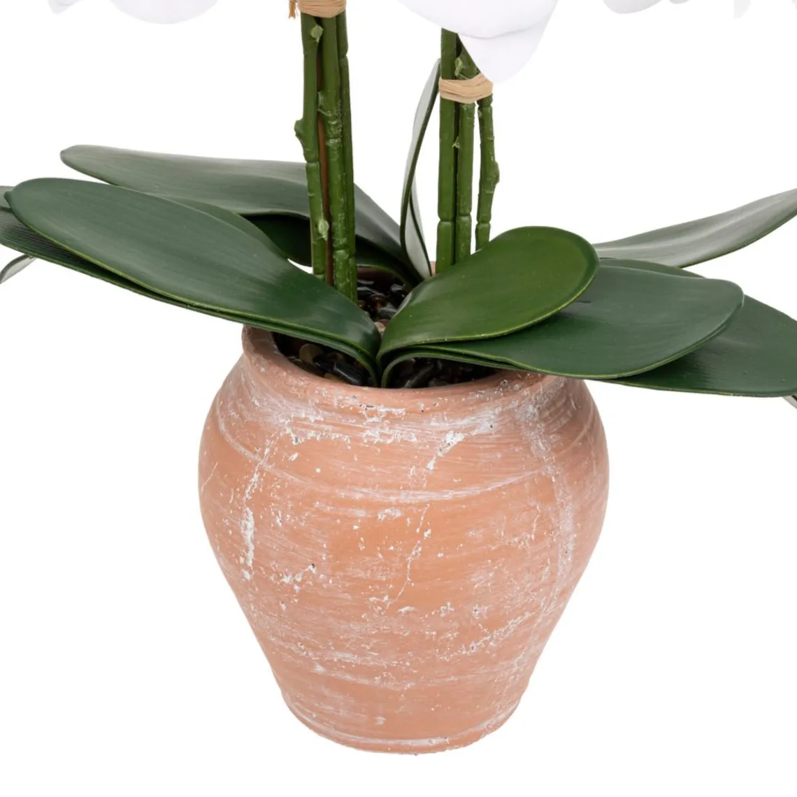 3S. x Home Orchidée artificielle avec pot en céramique Discount