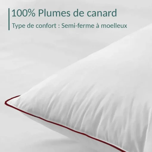 SAMPUR Oreiller 100% plume Discount