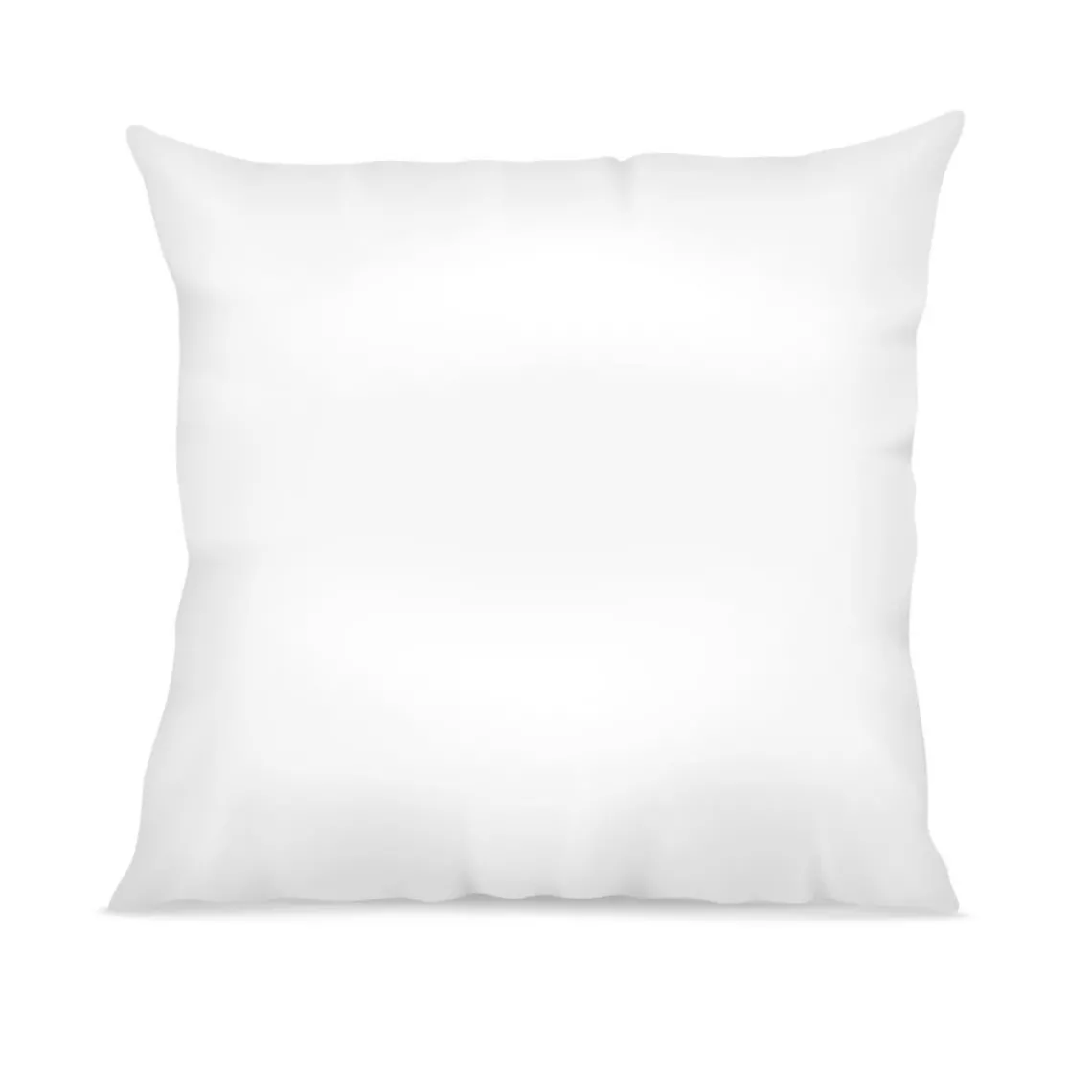 Selenia Oreiller Hygiène Plus Anti-acariens Microfibre Online