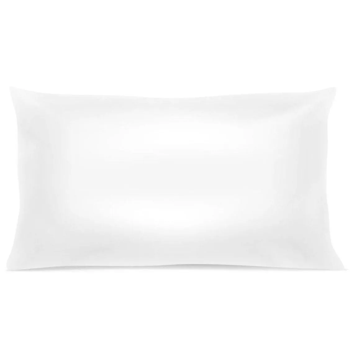 Selenia Oreiller Hygiène Plus Anti-acariens Microfibre Online