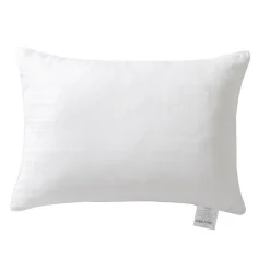 Blanc des Vosges Oreiller MICRODUV 100% polyester Microduv - confort moelleux Outlet