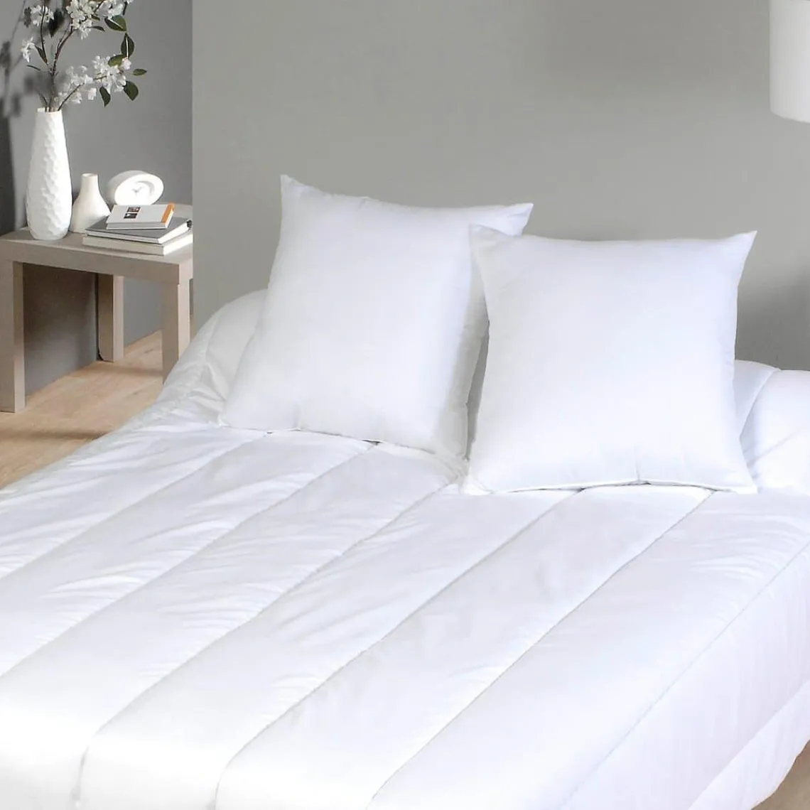 Selenia Oreiller Relaxant en microfibre et carbone 60x60cm Outlet