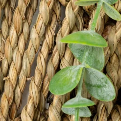 3S. x Home Plante artificielle suspendue Zea Online