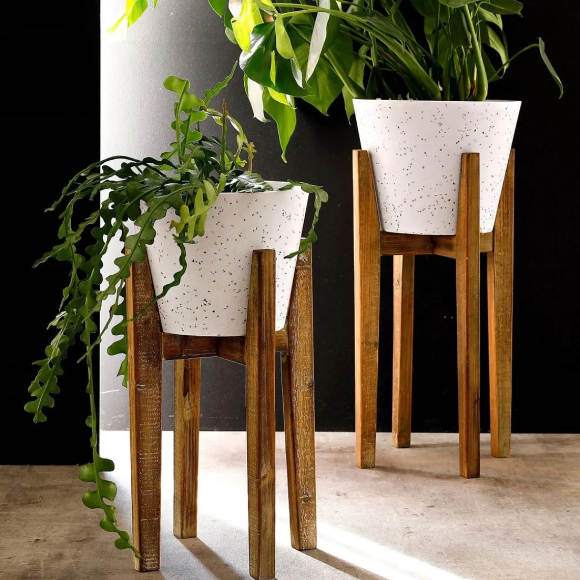 Becquet Pot Décoratif moyen en Bois et résine Plant Up Beige Online