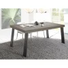 3S. x Home Table fixe PALMA avec pieds en fer Bronce gris