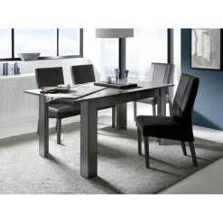 3S. x Home Table salle à manger extensible DANA laqué anthracite brillant Online